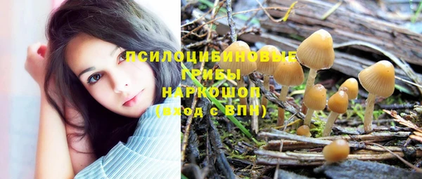 соль ск Арсеньев