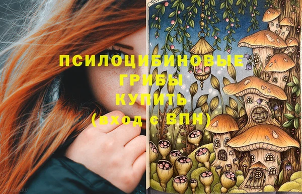 альфа пвп Армянск