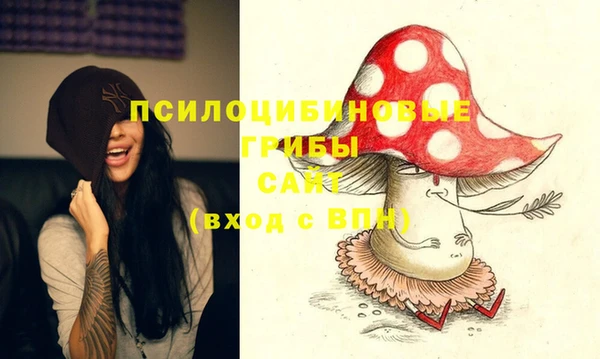 гашик Покровск