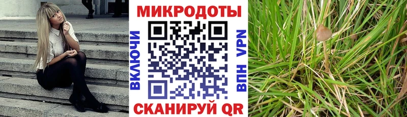 Псилоцибиновые грибы GOLDEN TEACHER  как найти   OMG как войти  Порхов 